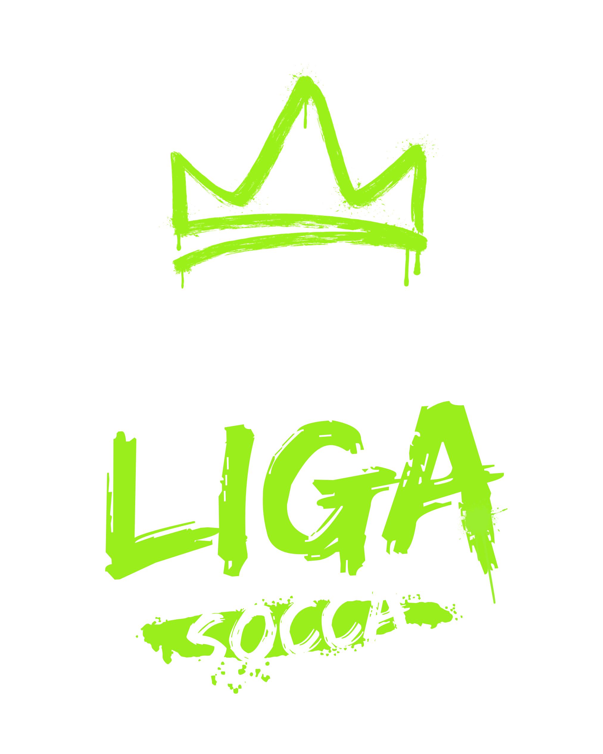 Dzika Liga Socca